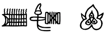錦織圭